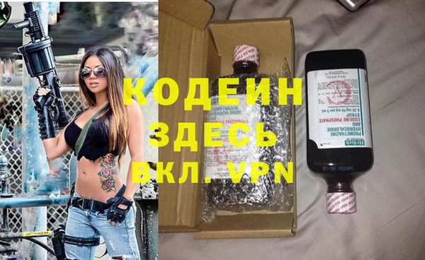 молекула духа Арсеньев