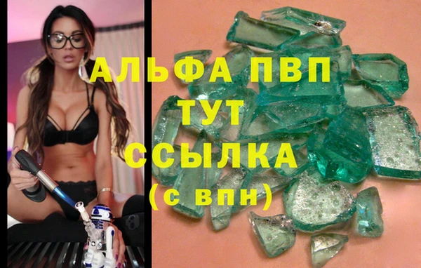 СК Аркадак