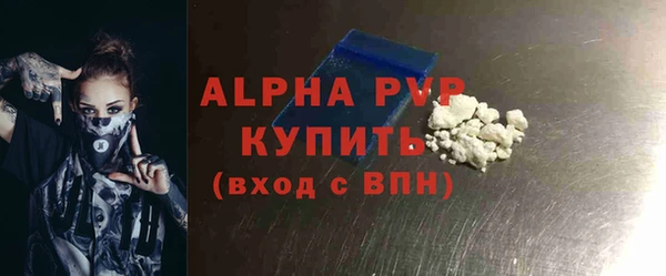 молекула духа Арсеньев