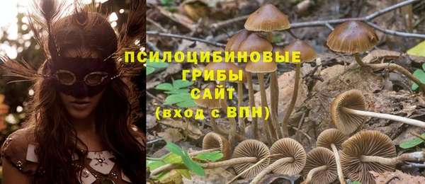 дмт Алексин