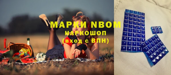 дмт Алексин