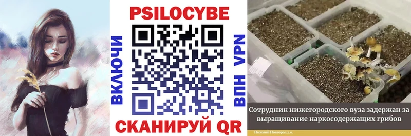 Галлюциногенные грибы Magic Shrooms  Учалы 